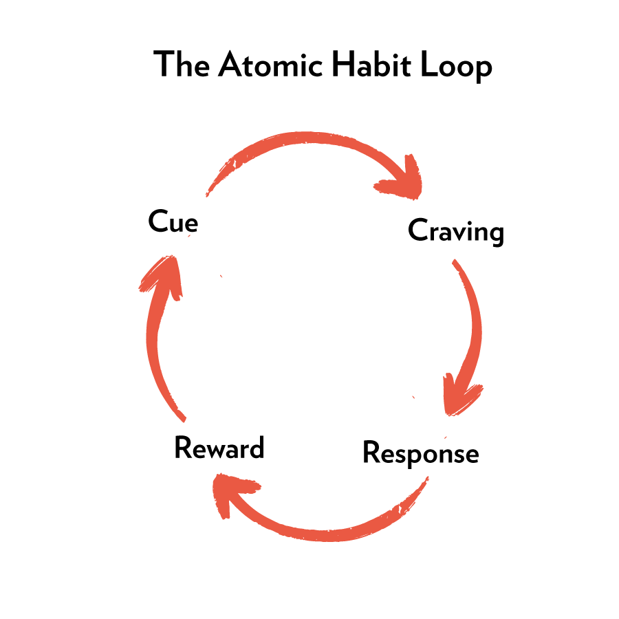 Building habits happens in 4 stages: cue, craving, response, and reward. 