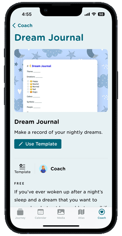 Use dream journal template in Journey journal app.
