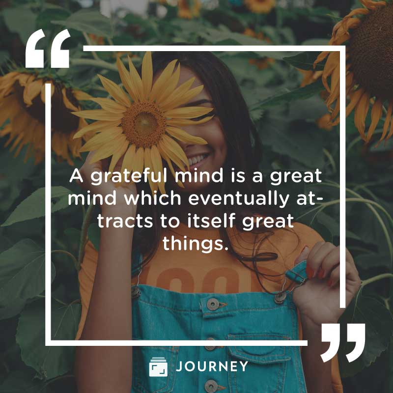 Gratitude quotes, "A grateful mind is a great mind which eventually attracts to itself great things."