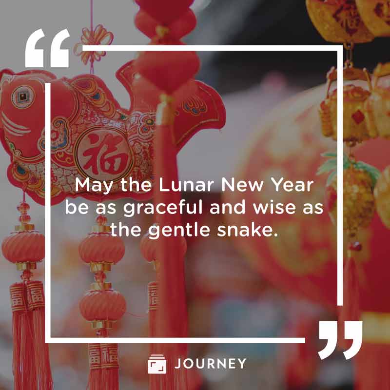 Chinese New Year Wishes & Lunar Greetings, "May the Lunar New Year be as graceful and wise as the gentle snake."