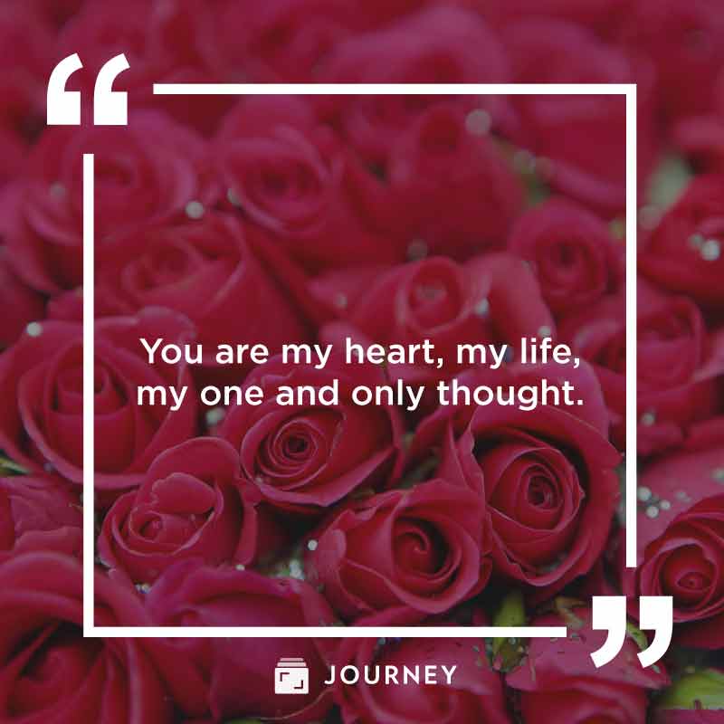 Happy Valentine's Day Quotes, "You are my heart, my life, my one and only thought."