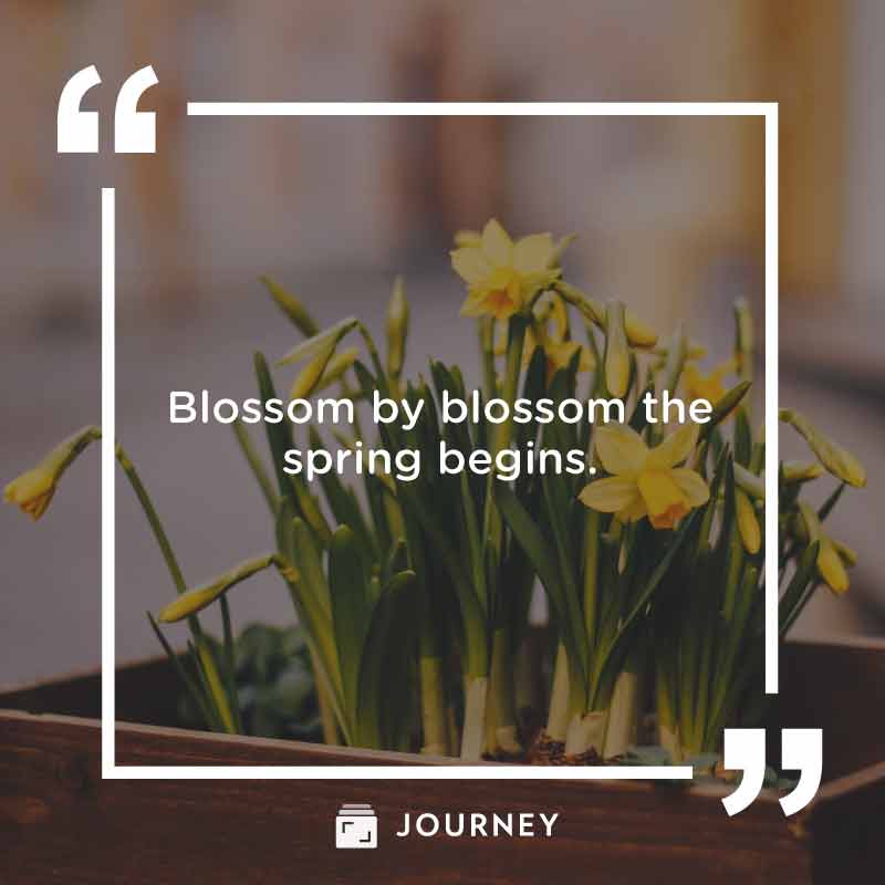 March Quotes, "Blossom by blossom the spring begins."