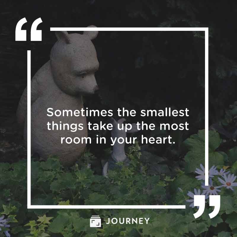 Best 'Pooh' Quotes, "Sometimes the smallest things take up the most room in your heart."