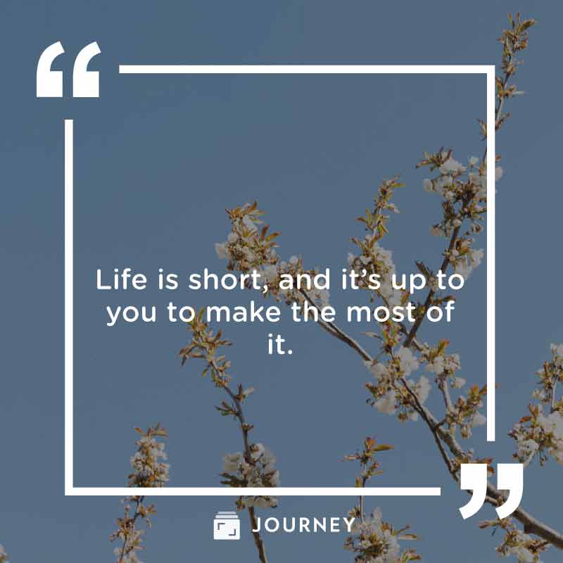 Short & Simple Life Quotes: "Life is short, and it’s up to you to make the most of it."